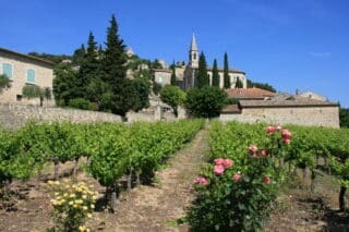 cyklozájezd Provence Francie 2026