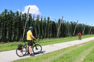 cyklista u chmelnice cyklodovolená 2026 termály Dobrna