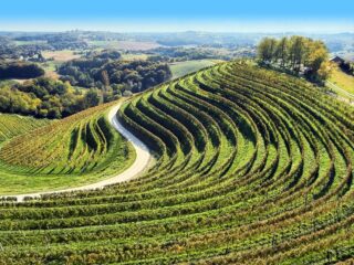 vinice Maďarsko Lenti termály cyklodovolená 2026