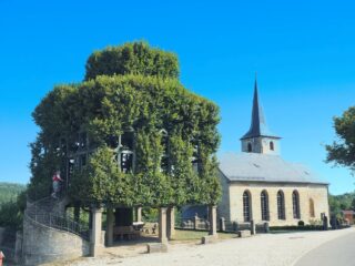 Tanzlinde - taneční sál v koruně stromu cyklodovolená 2026 Německo