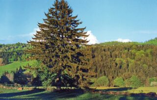 cyklodovolená Bavorský les Šumava 2026 Německo Česko